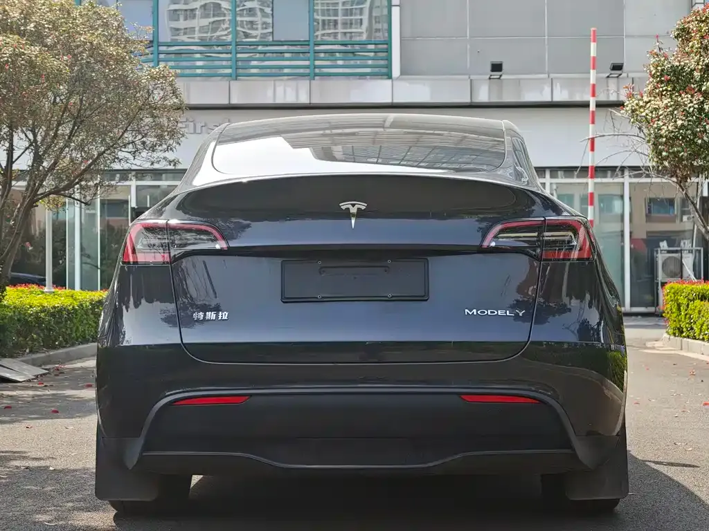 Tesla Model Y — фото 8