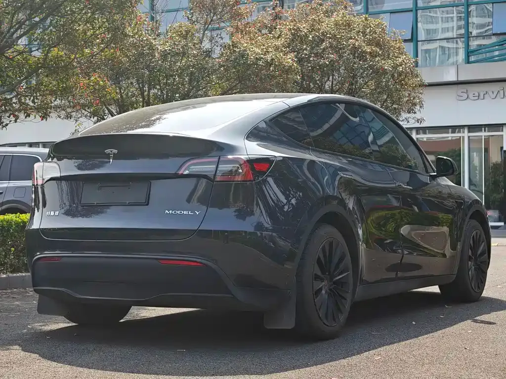 Tesla Model Y — фото 3