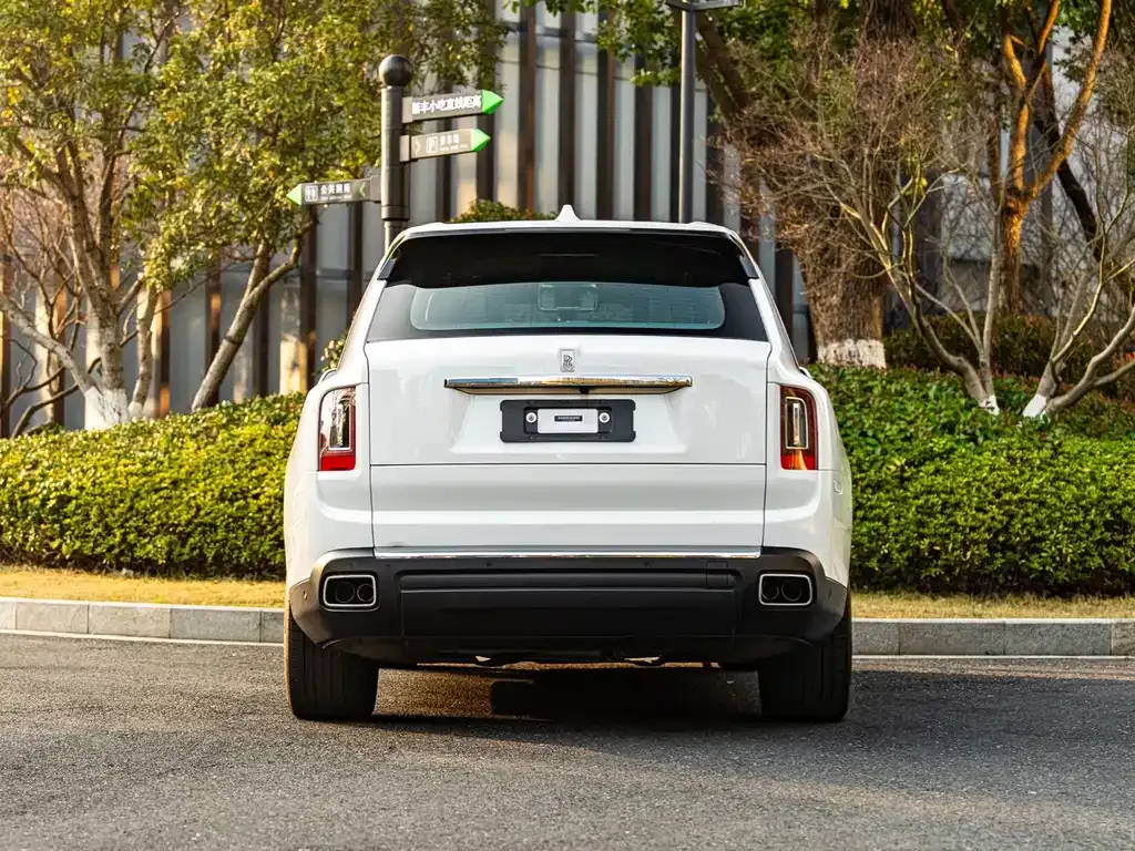 Rolls-Royce Cullinan 2021 из CN, фото 8