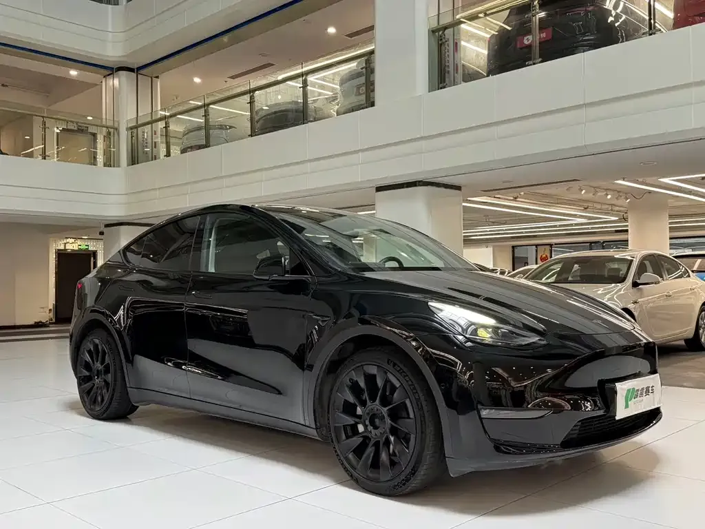 Tesla Model Y — фото 7