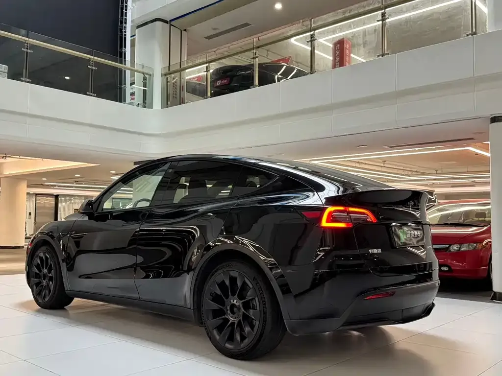 Tesla Model Y — фото 3