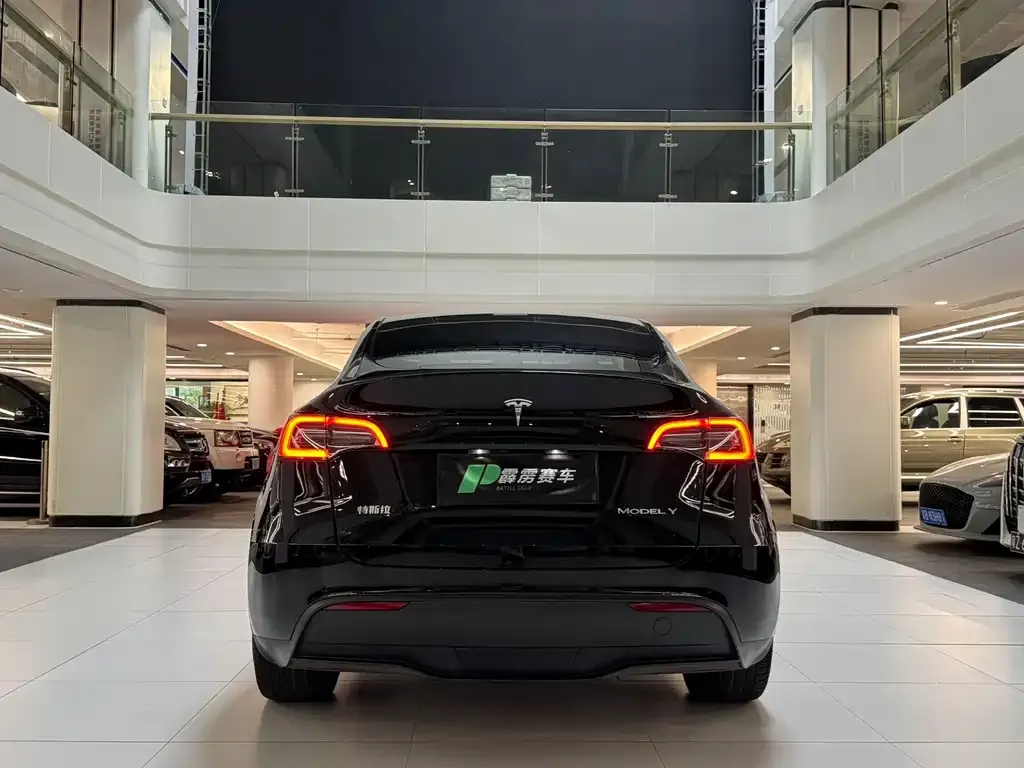 Tesla Model Y — фото 2