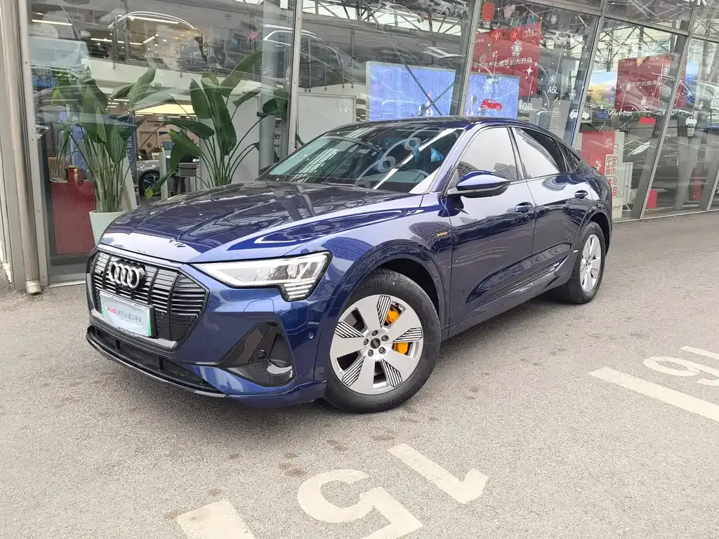 Audi e-tron (Import) — фото 1