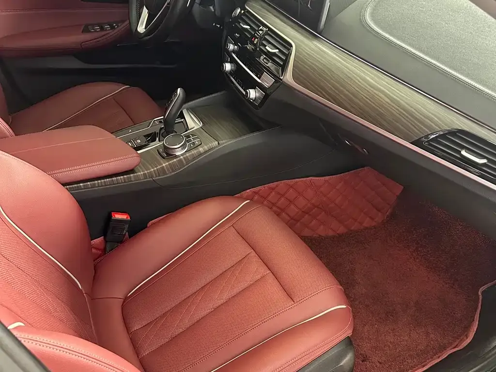 BMW 5 Series 2021 из CN, фото 6