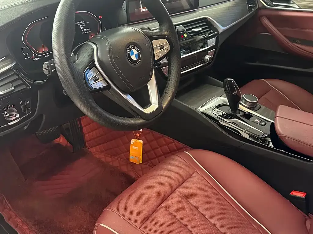 BMW 5 Series 2021 из CN, фото 7