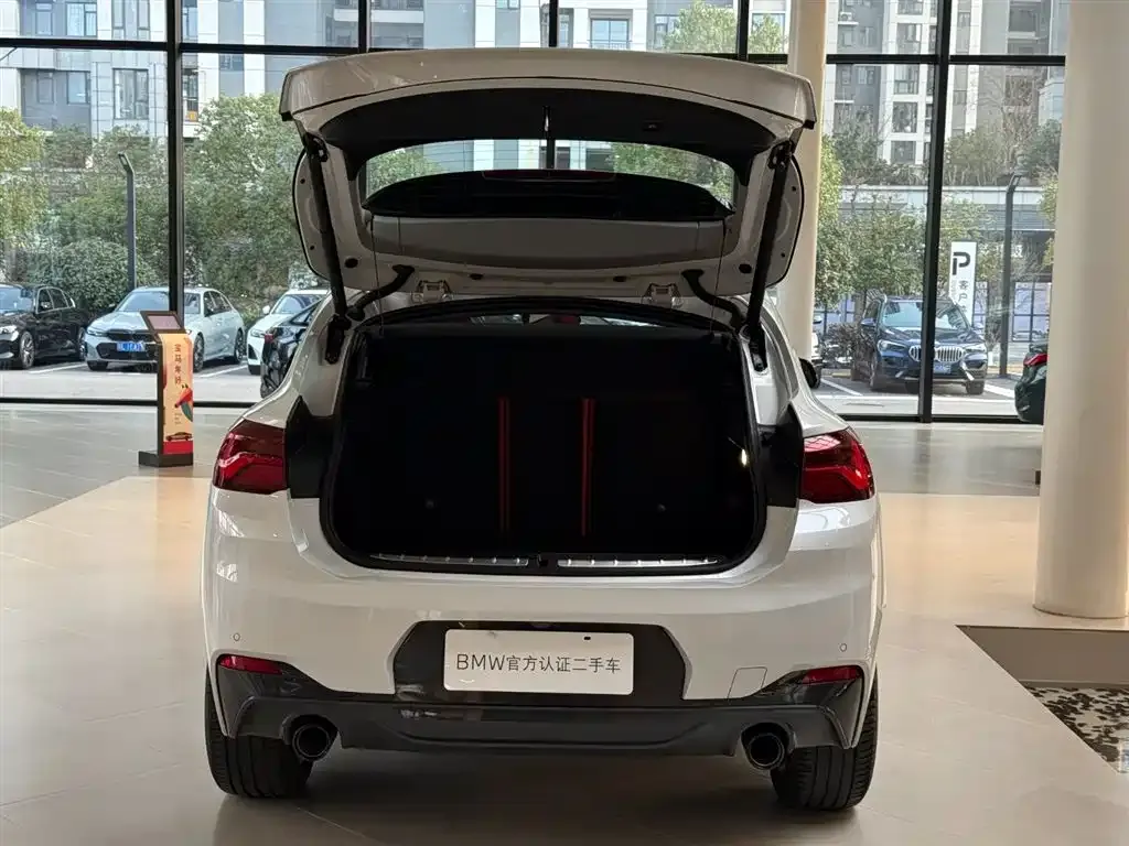 BMW X2 2024 из CN, фото 10