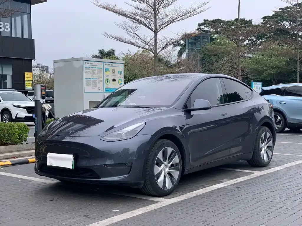 Tesla Model Y 2021 из CN, фото 1