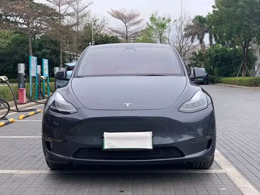 Tesla Model Y 2021 из CN, фото 7