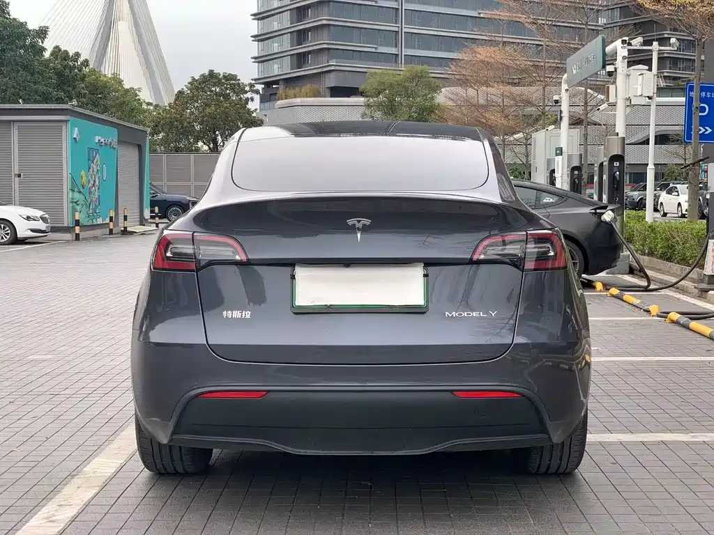 Tesla Model Y 2021 из CN, фото 9