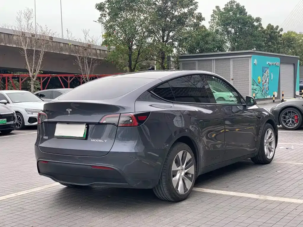 Tesla Model Y 2021 из CN, фото 8