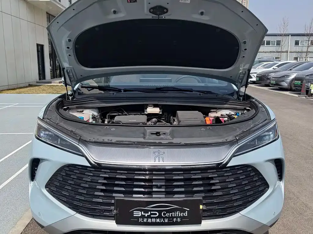 BYD L DM-i — фото 3