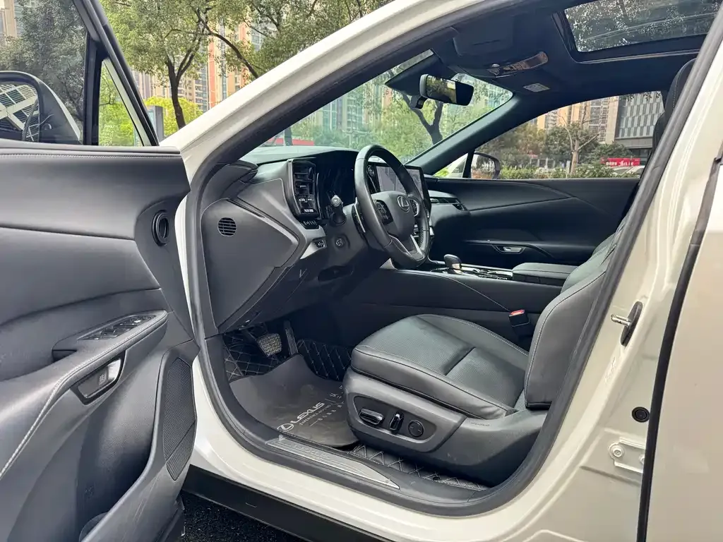 Lexus RX — фото 10