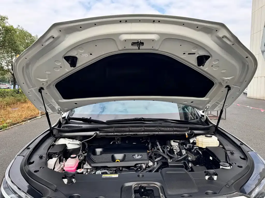 Lexus RX — фото 3
