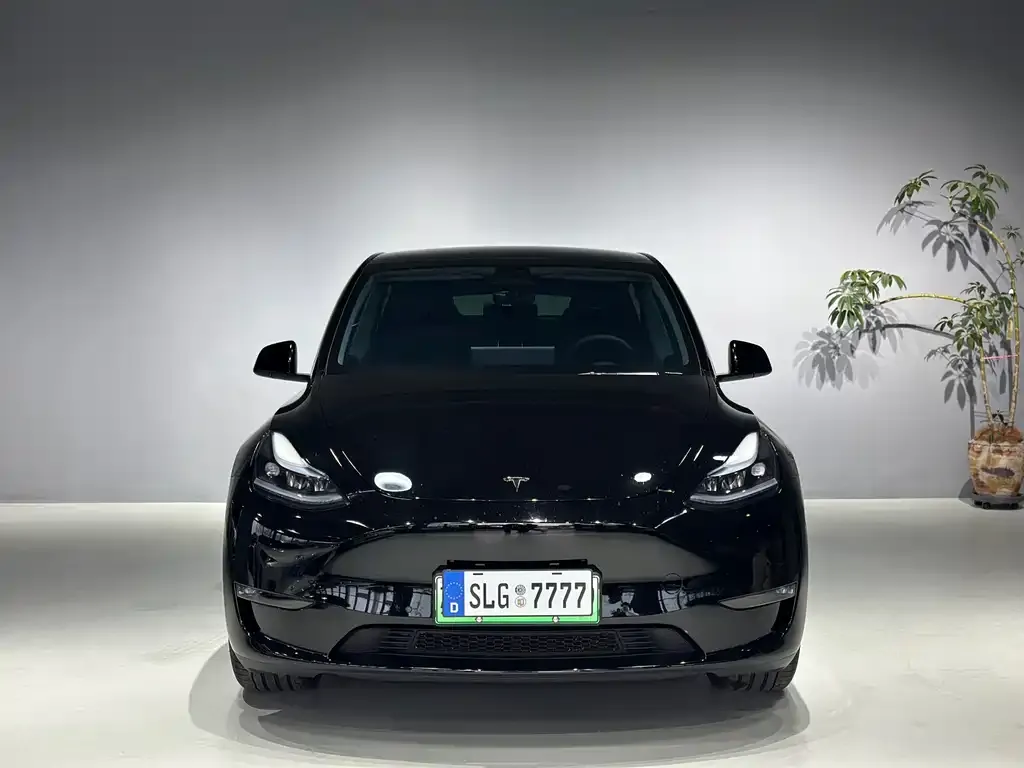 Tesla Model Y — фото 10