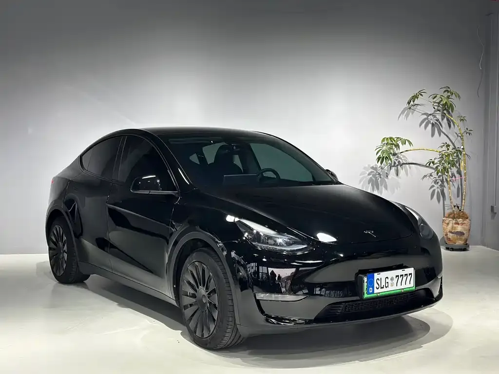 Tesla Model Y — фото 3