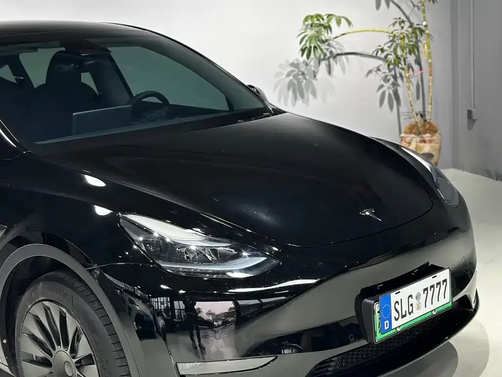 Tesla Model Y — фото 9