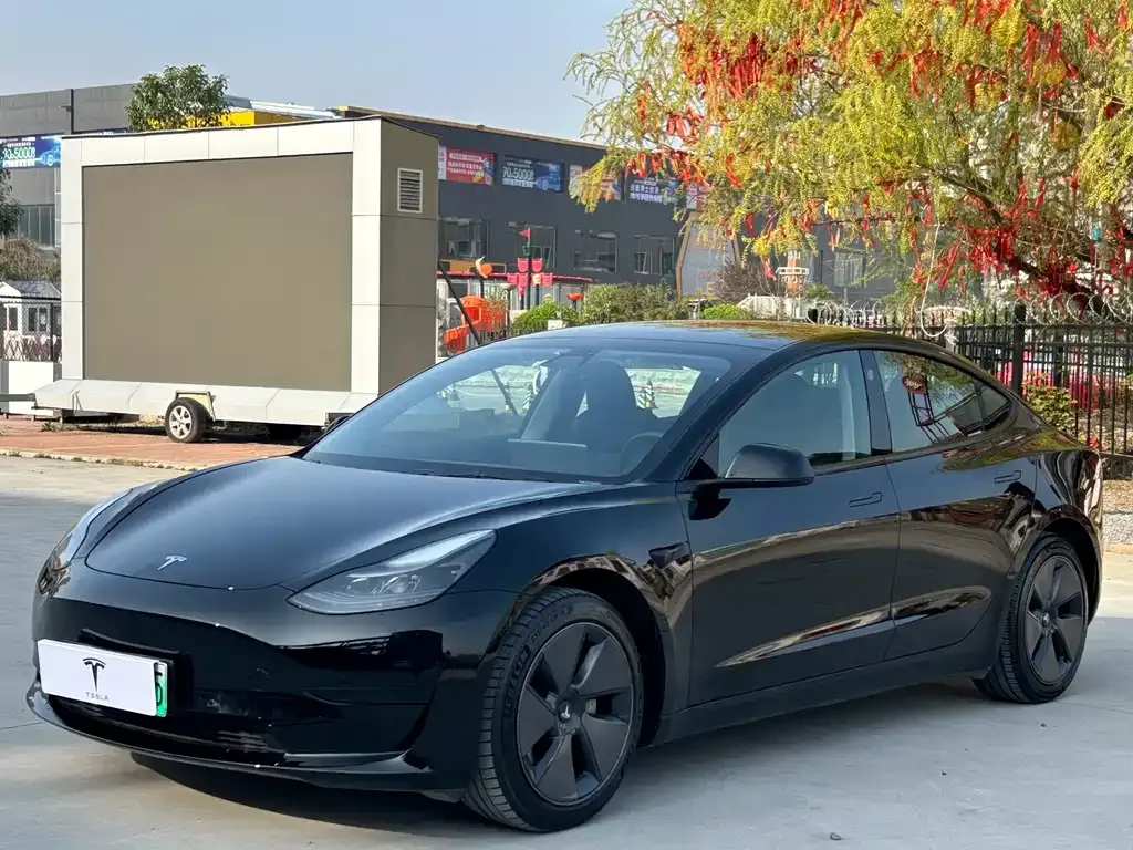 Tesla Model 3 2021 из CN, фото 1