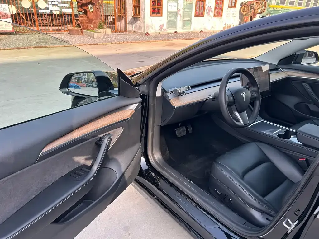 Tesla Model 3 2021 из CN, фото 6