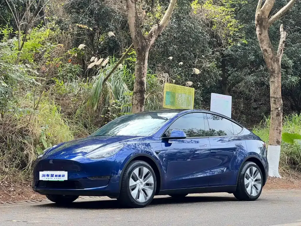 Tesla Model Y — фото 1