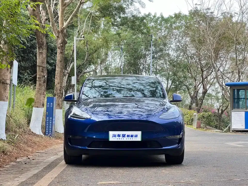Tesla Model Y — фото 5