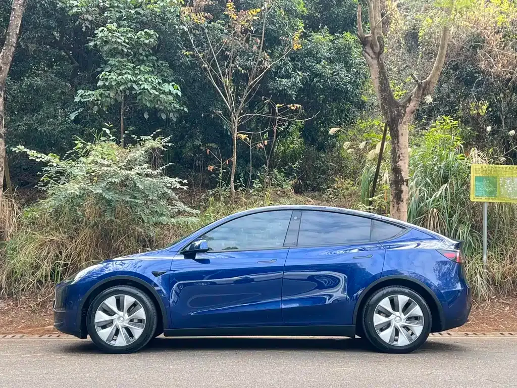 Tesla Model Y — фото 8
