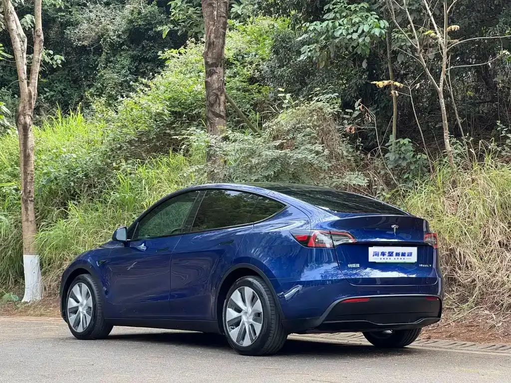 Tesla Model Y — фото 7