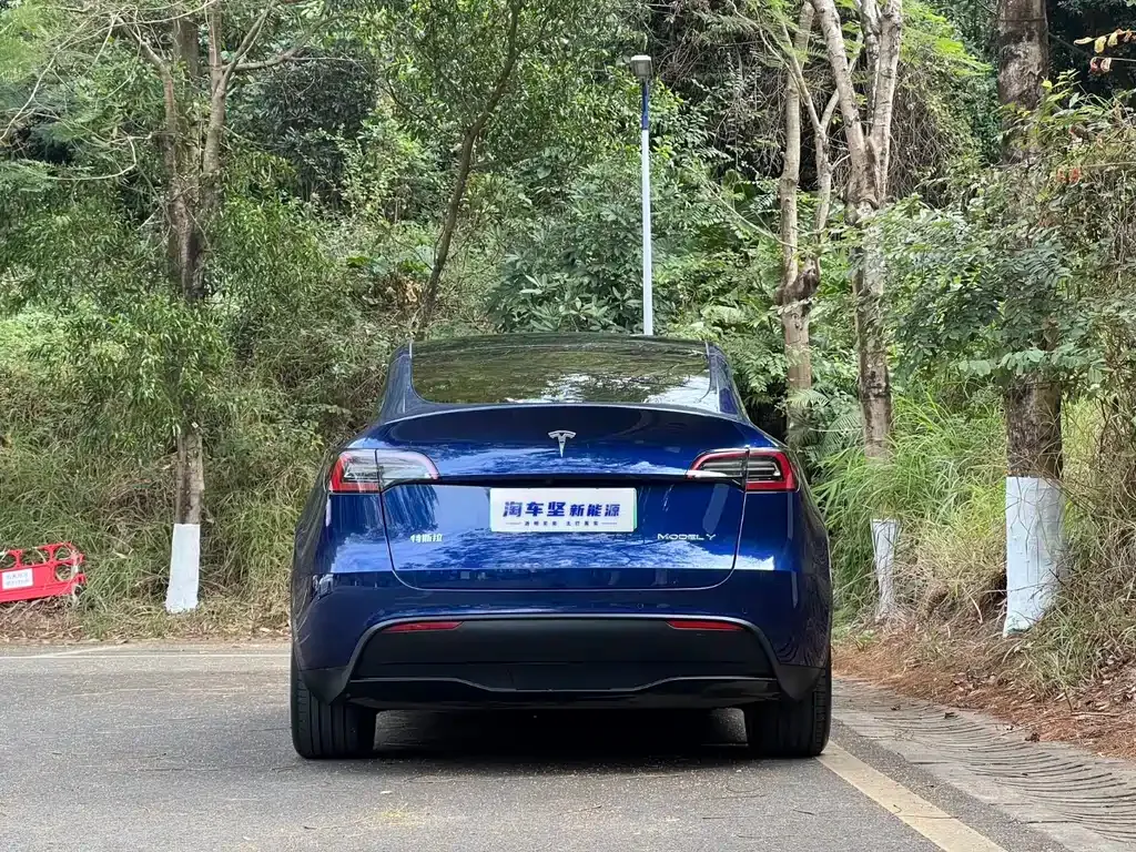 Tesla Model Y — фото 6