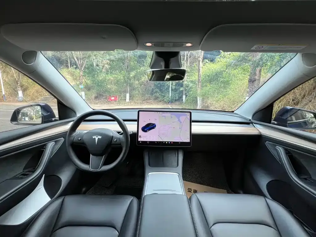 Tesla Model Y — фото 2