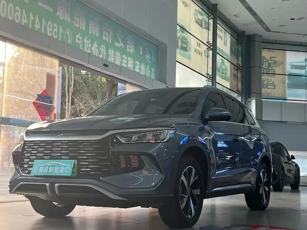 BYD Pro New Energy 2024 из CN, фото 1
