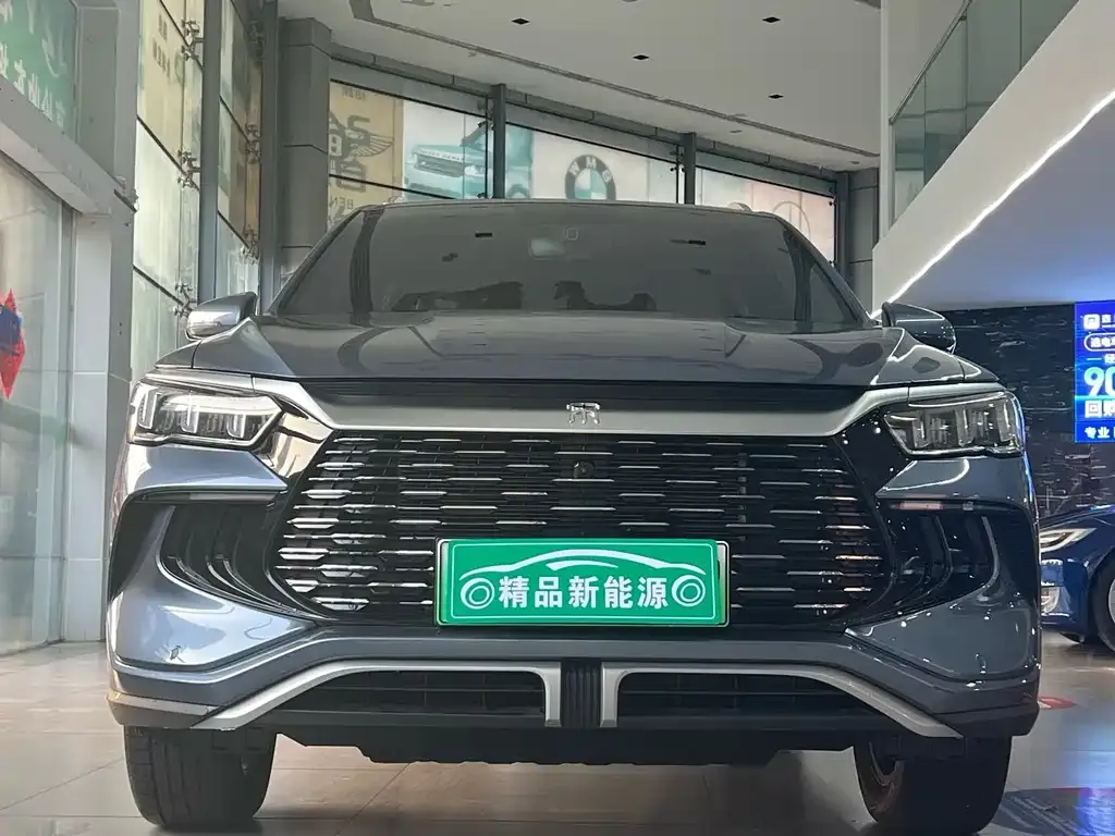 BYD Pro New Energy 2024 из CN, фото 2