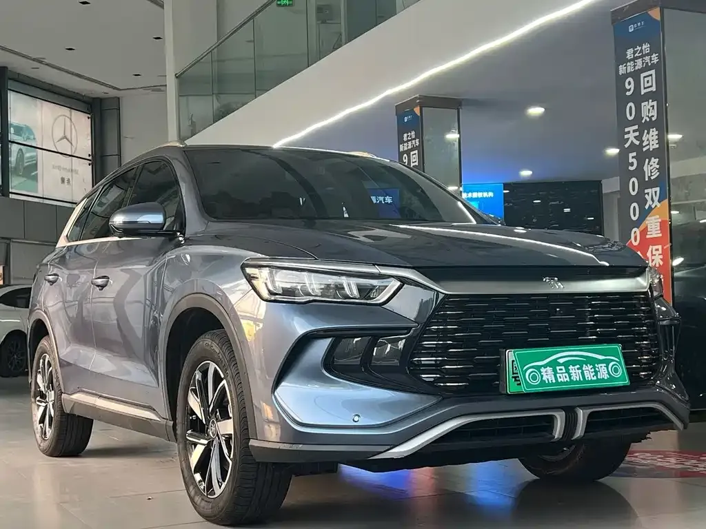 BYD Pro New Energy 2024 из CN, фото 10
