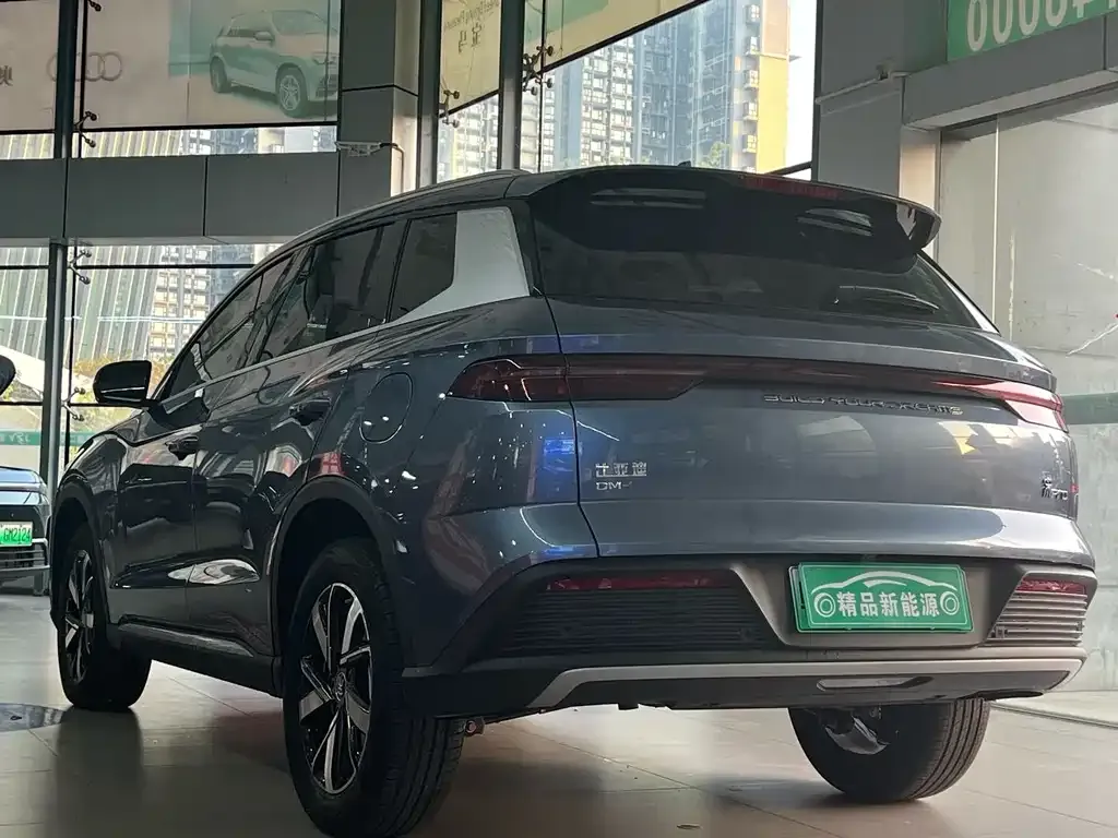 BYD Pro New Energy 2024 из CN, фото 5