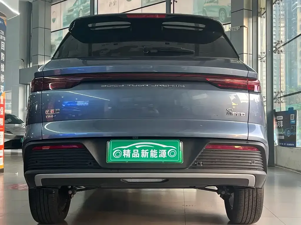 BYD Pro New Energy 2024 из CN, фото 8