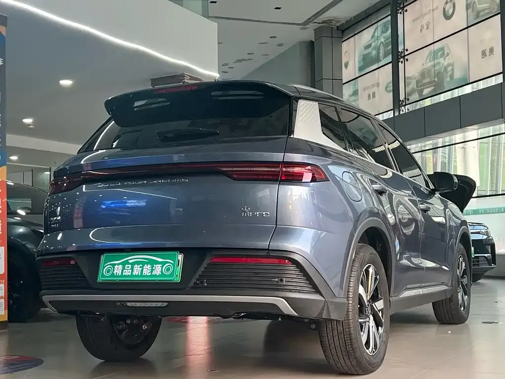 BYD Pro New Energy 2024 из CN, фото 4