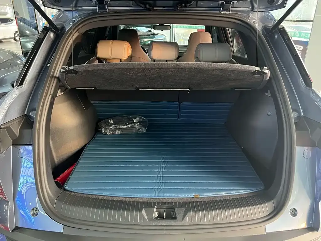 BYD Pro New Energy 2024 из CN, фото 3