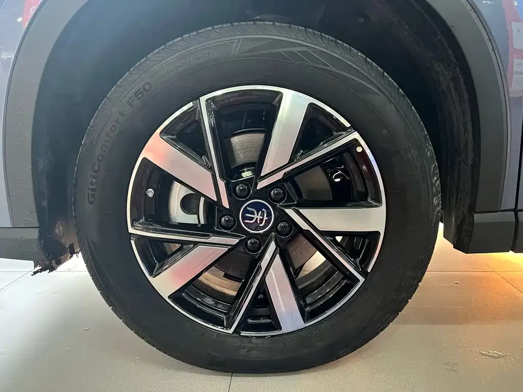 BYD Pro New Energy 2024 из CN, фото 6