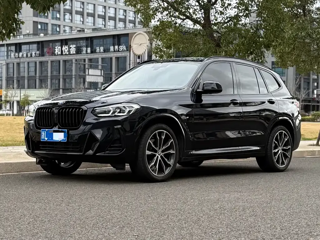 BMW X3 — фото 1