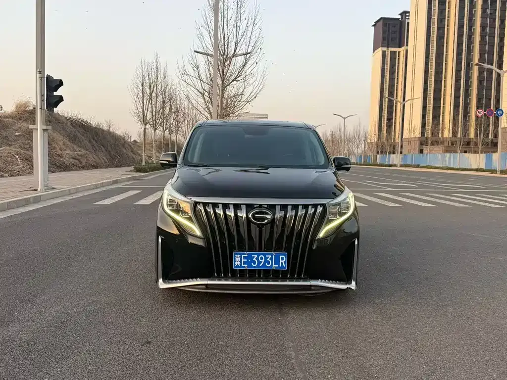 GAC Motor Trumpchi M8 2021 из CN, фото 7