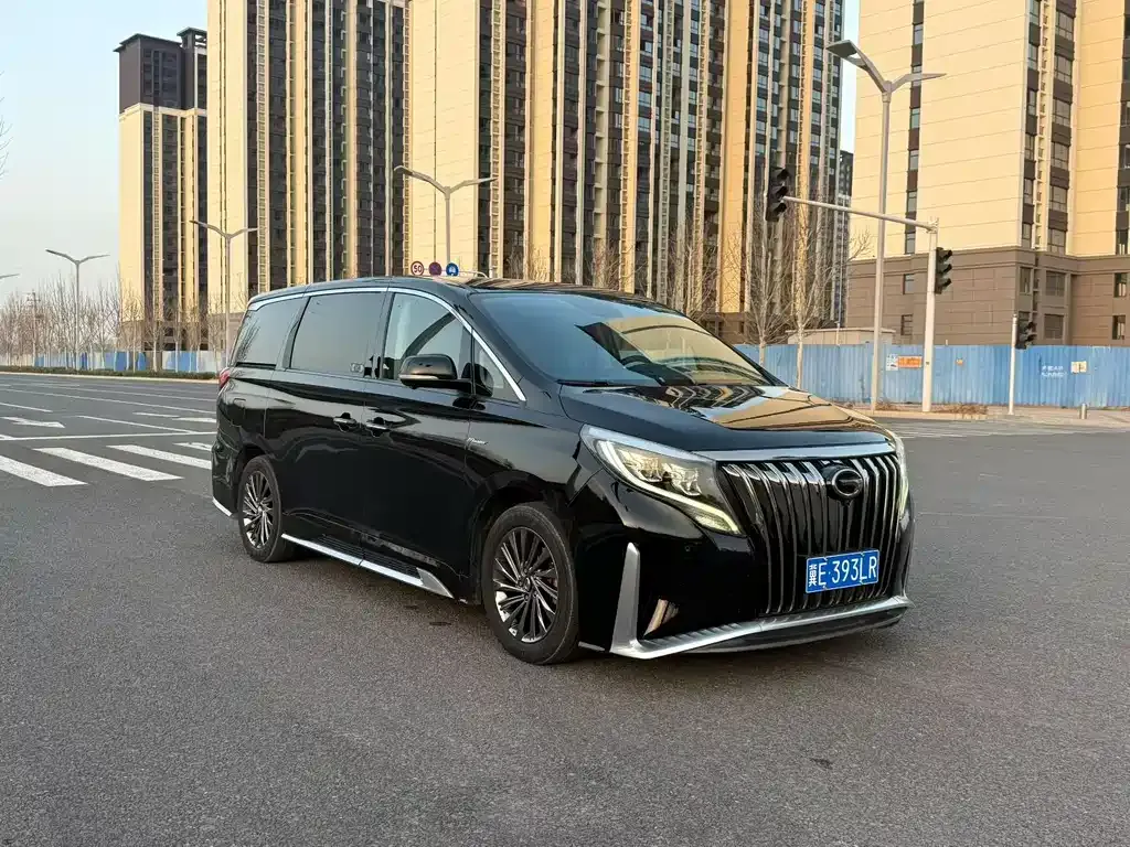 GAC Motor Trumpchi M8 2021 из CN, фото 8