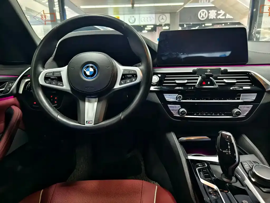 BMW 5 Series New Energy 2021 из CN, фото 8