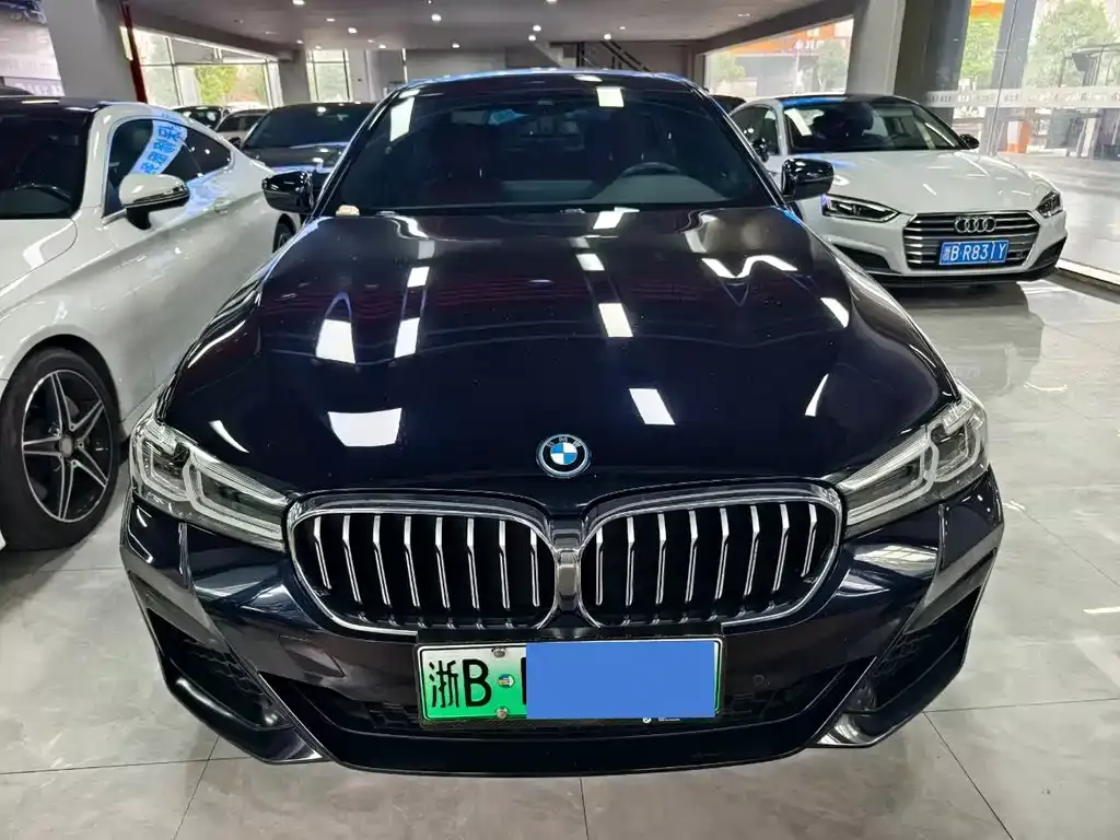 BMW 5 Series New Energy 2021 из CN, фото 6