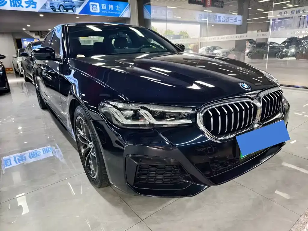 BMW 5 Series New Energy 2021 из CN, фото 2