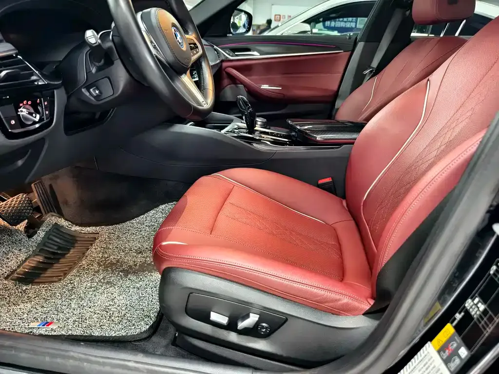 BMW 5 Series New Energy 2021 из CN, фото 10