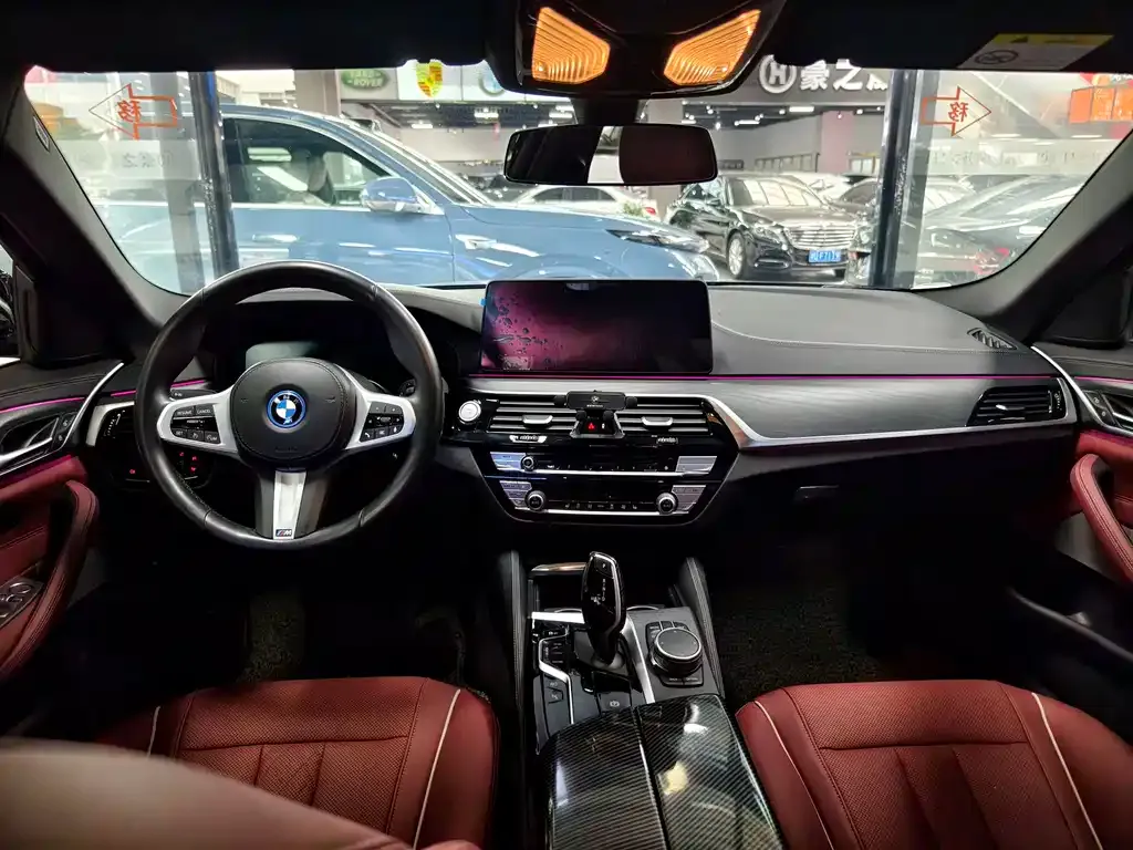 BMW 5 Series New Energy 2021 из CN, фото 4