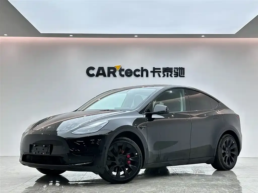 Tesla Model Y — фото 1