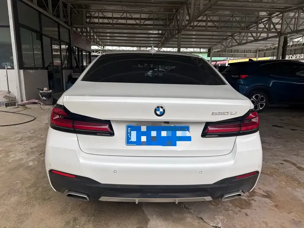 BMW 5 Series 2022 из CN, фото 9