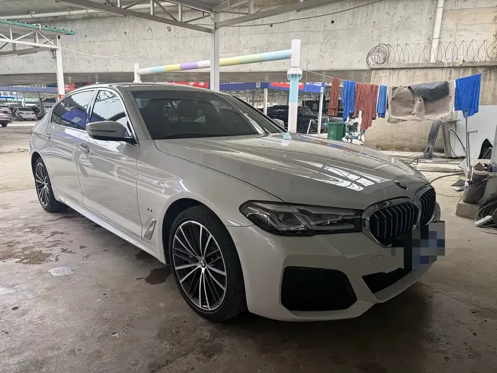 BMW 5 Series 2022 из CN, фото 4