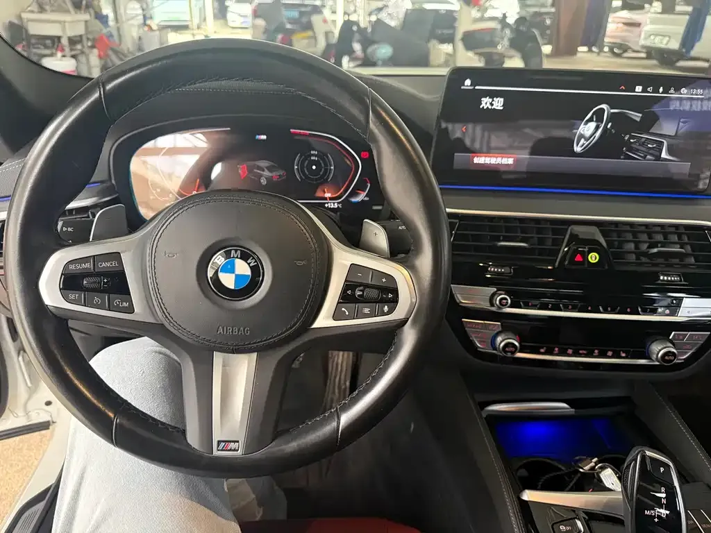 BMW 5 Series 2022 из CN, фото 6