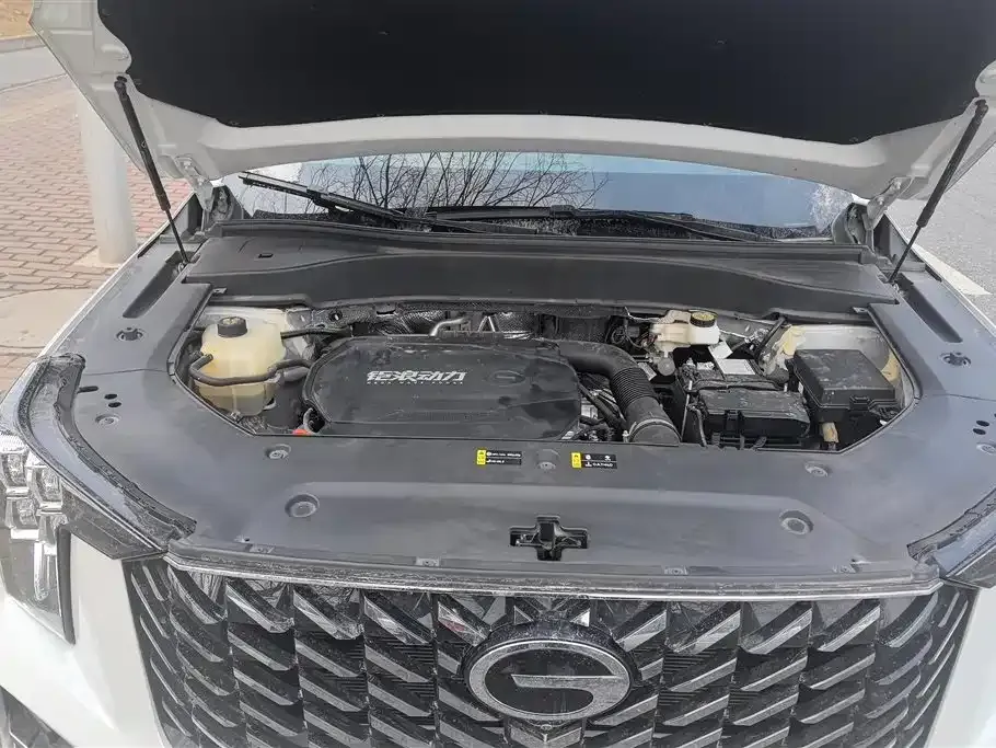 GAC Motor Trumpchi GS8 2024 из CN, фото 8