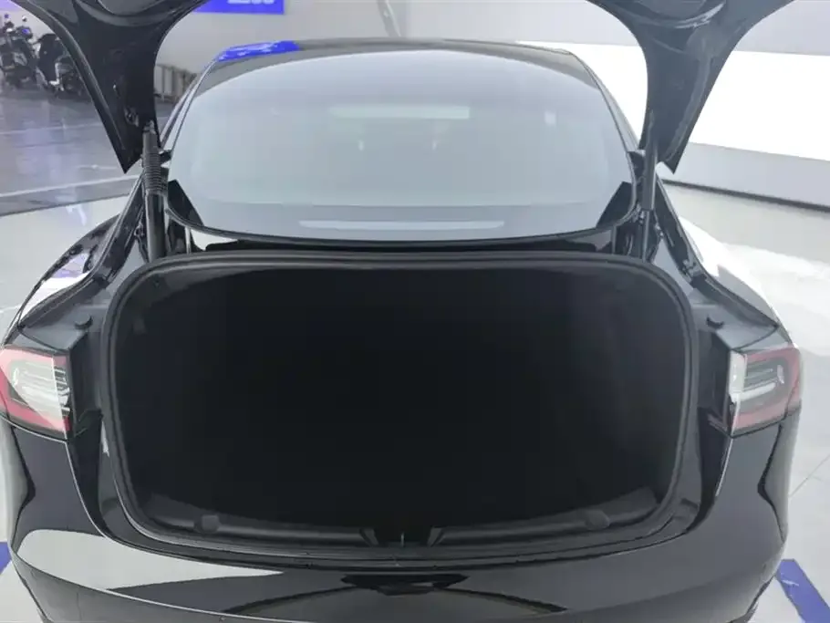 Tesla Model 3 2021 из CN, фото 9